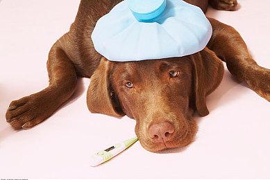 《永劫无间》职业联赛NBPL常规赛第二双周6月24日赛事